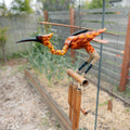 Phoenix Bobbing Head Bird Wind Chime