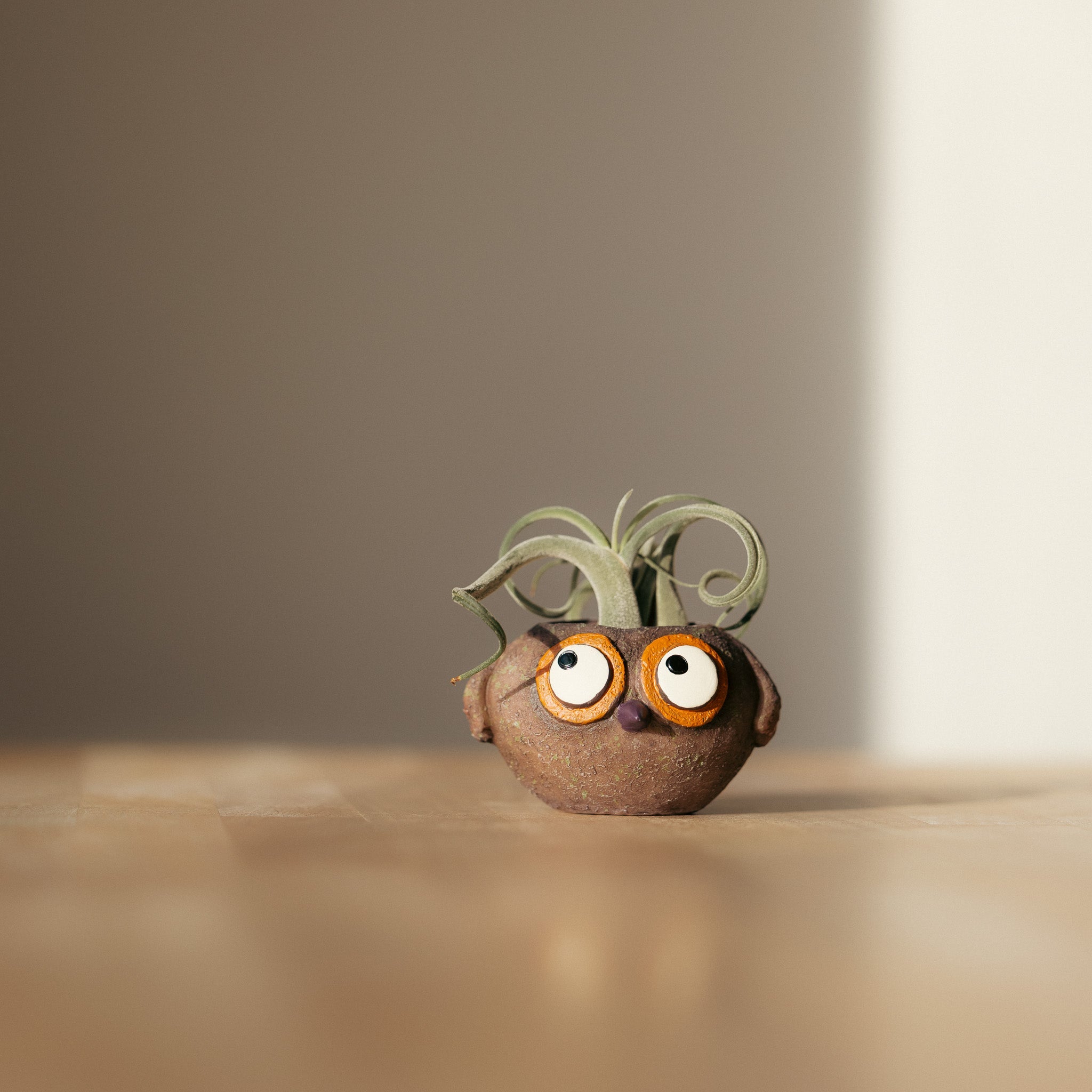 Owen the Baby Brown Owl Planter