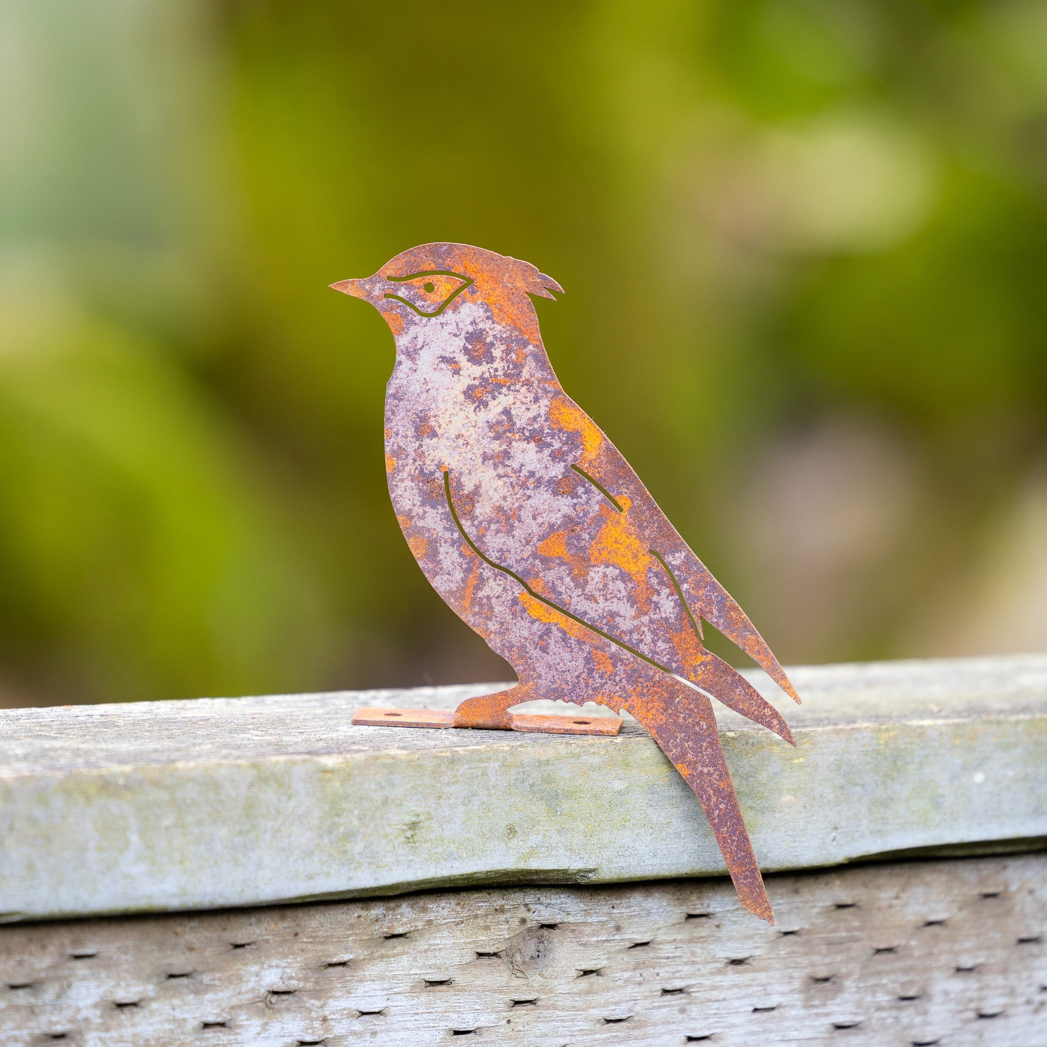 Rustic Steel Cedar Waxwing Bird