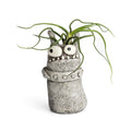 Diesel the Monster Planter