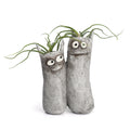 Sisters the Cats Double Planter