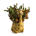 George the Giraffe Planter