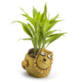 Simba the Lion Planter