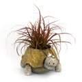 Pogo the Tortoise Planter