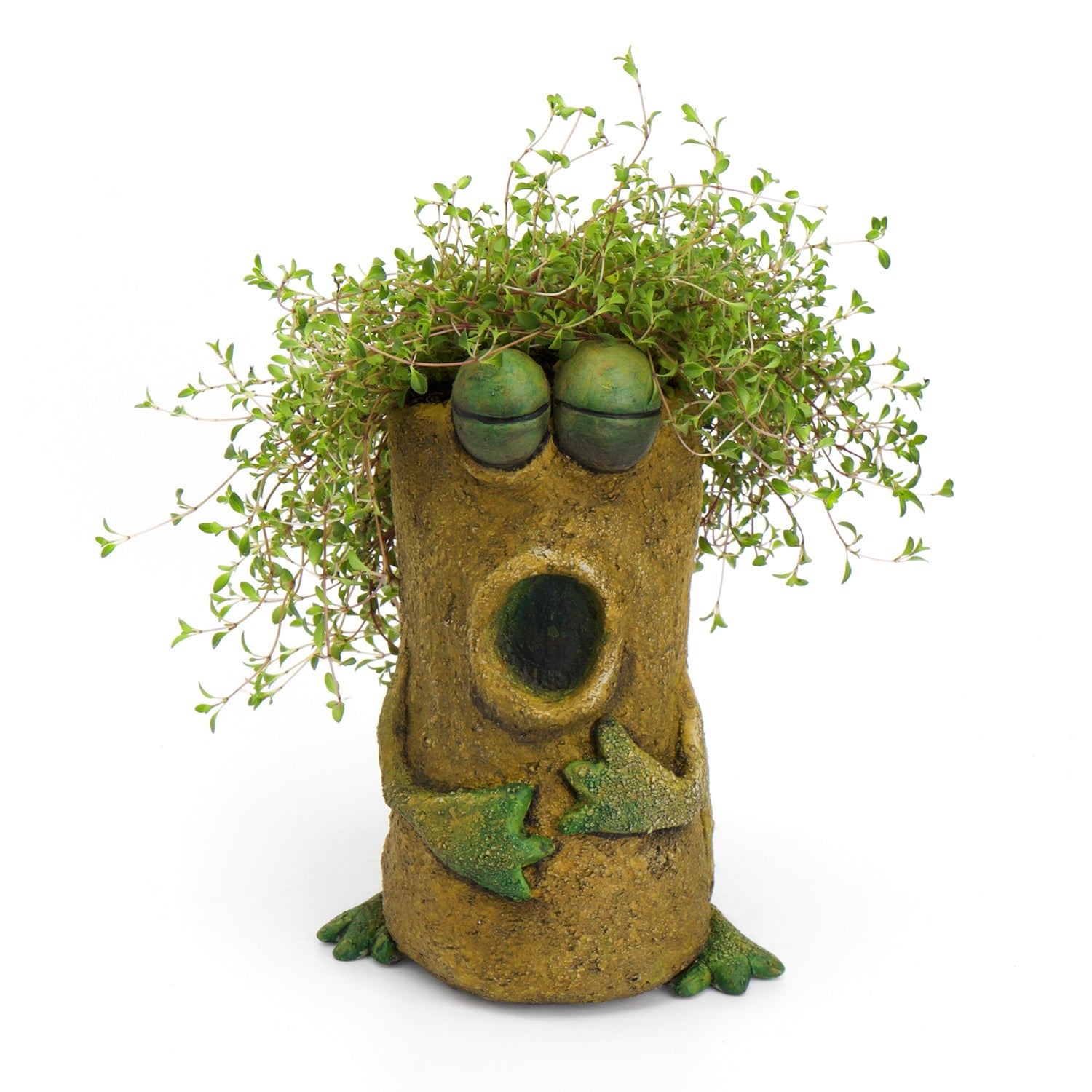 Luciano the Singing Frog Planter