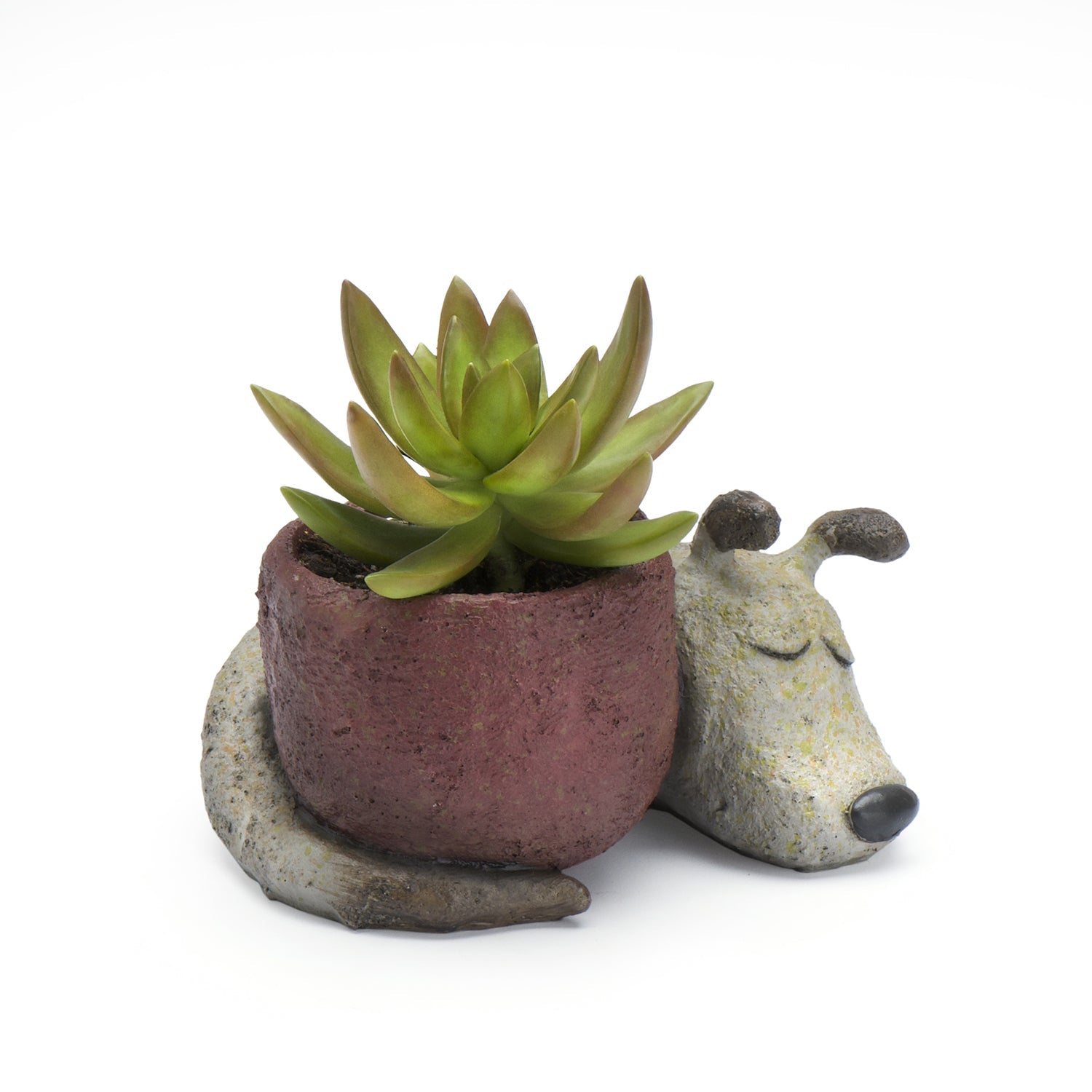 Dreamer Dog Planter