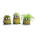 Frog Trio Planters, Set of 3