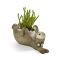 Chester the Donkey Planter, Laying