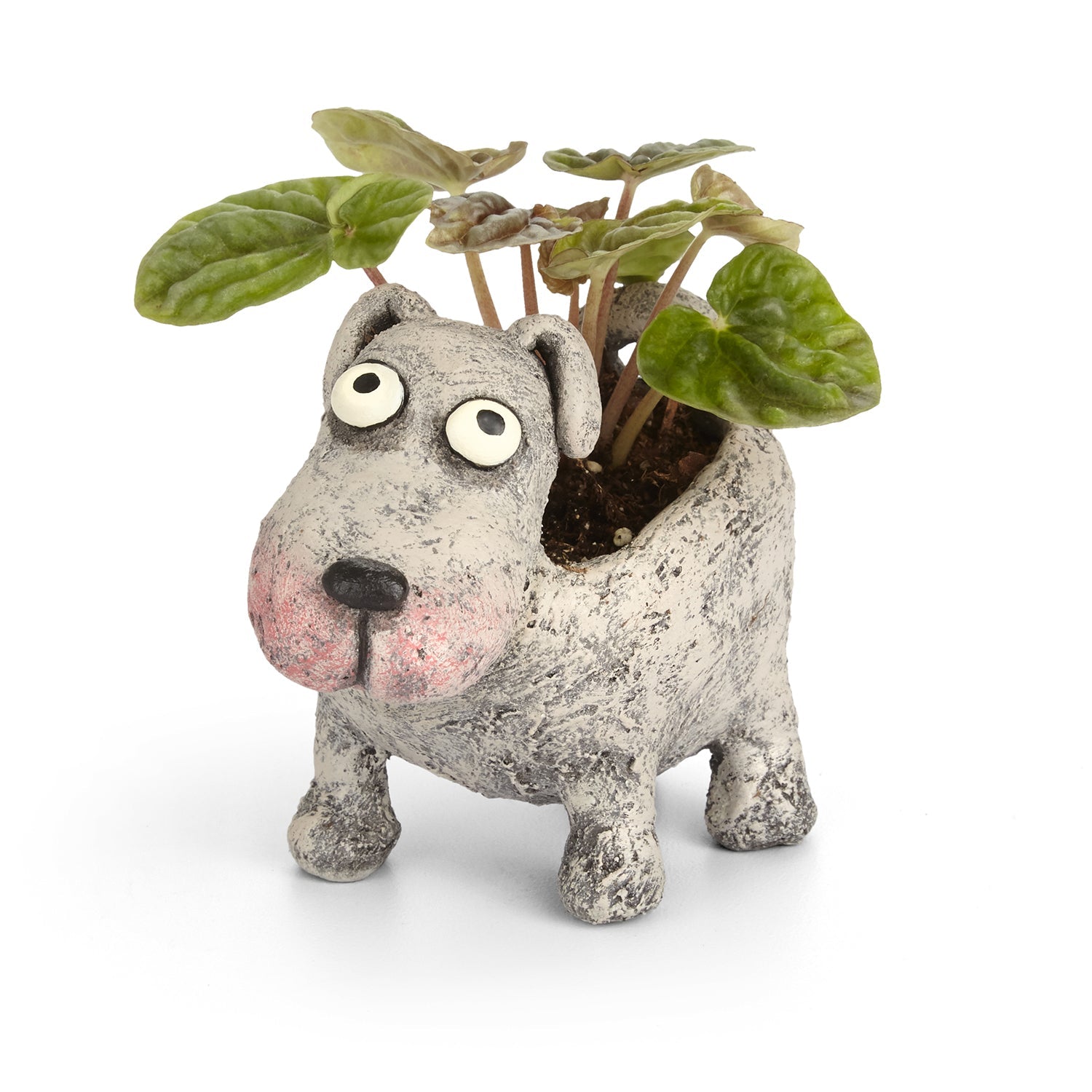 Petunia the Dog Planter