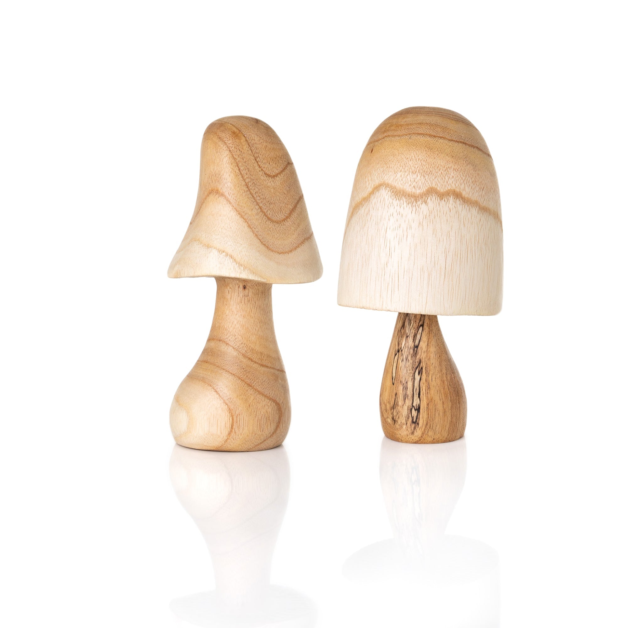 2pc Large Mushroom Set