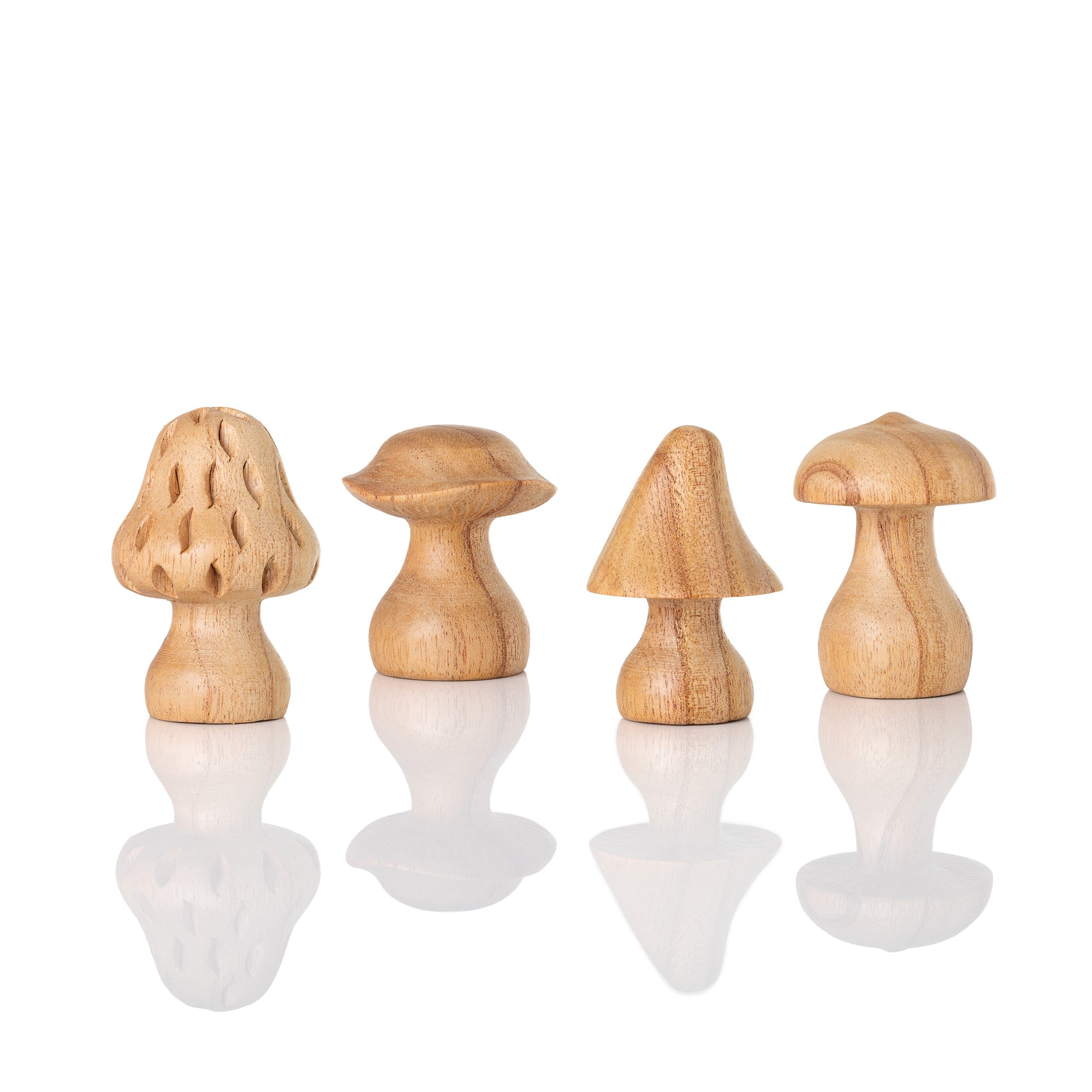 4pc Mini Mushroom Set