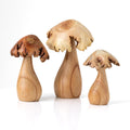 3pc Trippy Mushroom Set with Parasite Wood Top