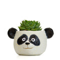 Mochi the Panda Head Blobhouse Planter