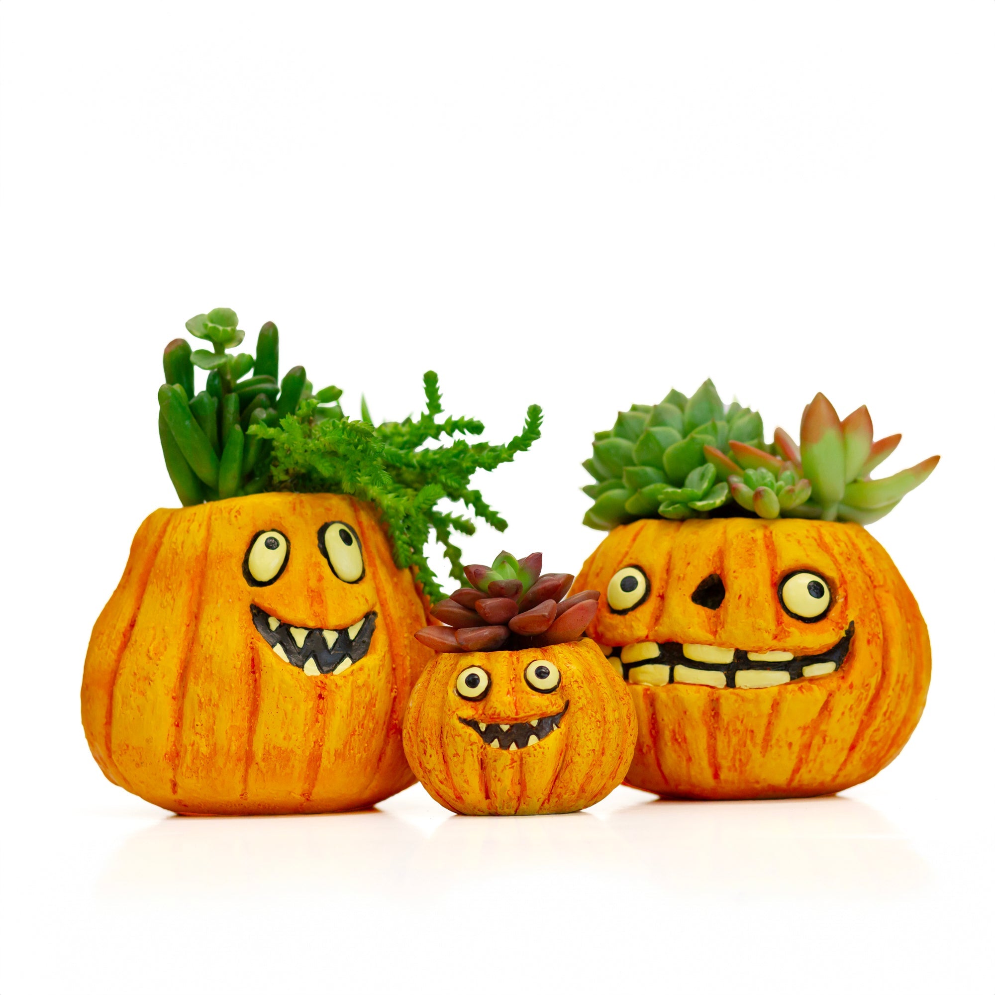 3pc Pumpkin Family Blobhouse Planter Set - Gourdon, Jack, Snickers