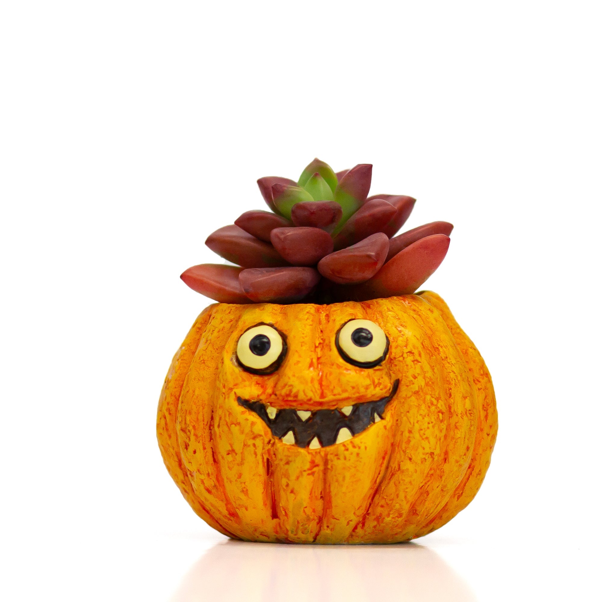 Snickers Mini Pumpkin Blobhouse Planter