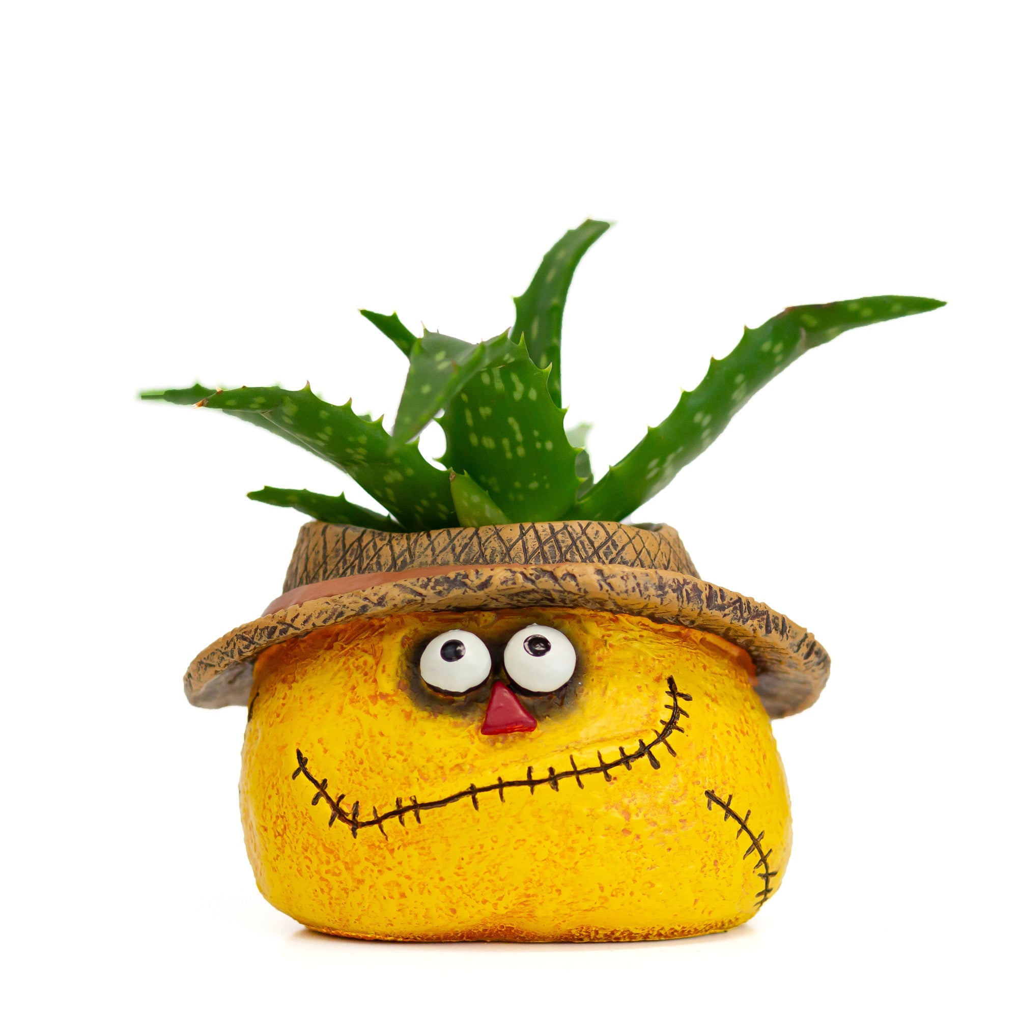 Strawman Dan Scarecrow Blobhouse Planter