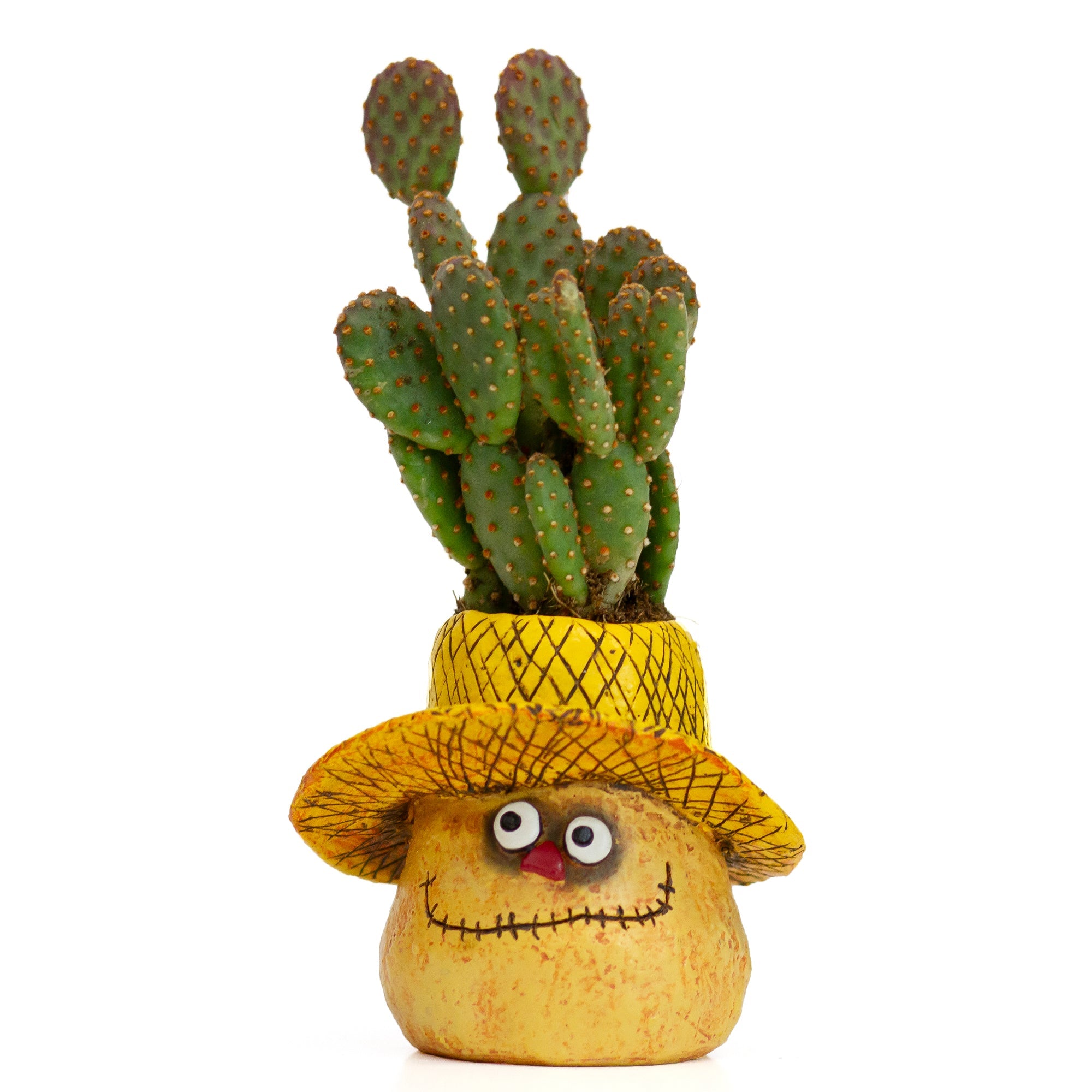 Stitches Scarecrow Blobhouse Planter