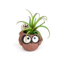Pip & Squeak - Piggy Back Owls Planter