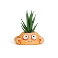 Pinch the Crab Blobhouse Planter